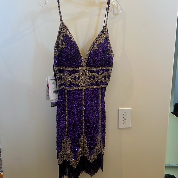 Spectacular Sherry Hill beaded dress size 6 new with tags. - Picture 1 of 7